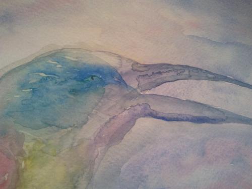 oiseau-d-aquarelle-lucy-dayrone-gabriel-leroy 